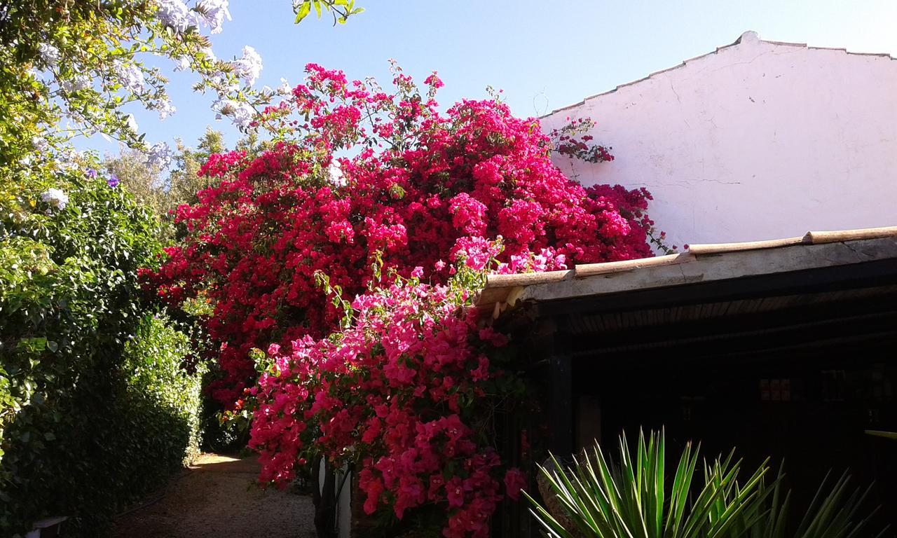 فيلا البوفيرافي Quinta Das Flores المظهر الخارجي الصورة